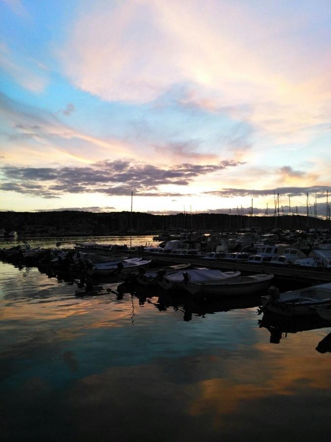 Arbutus * Izola